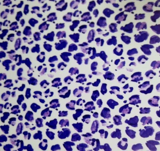 Purple Animal Print - 8*12 Inch Vinyl Backing Material